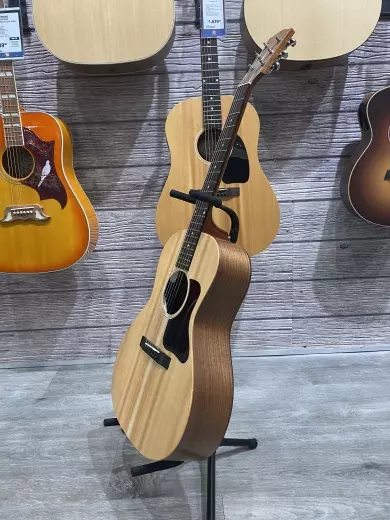 Gibson - ACG00ANNH 2